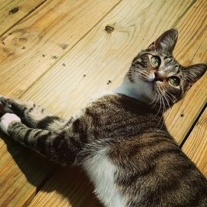 Meet your Posher, Valerie